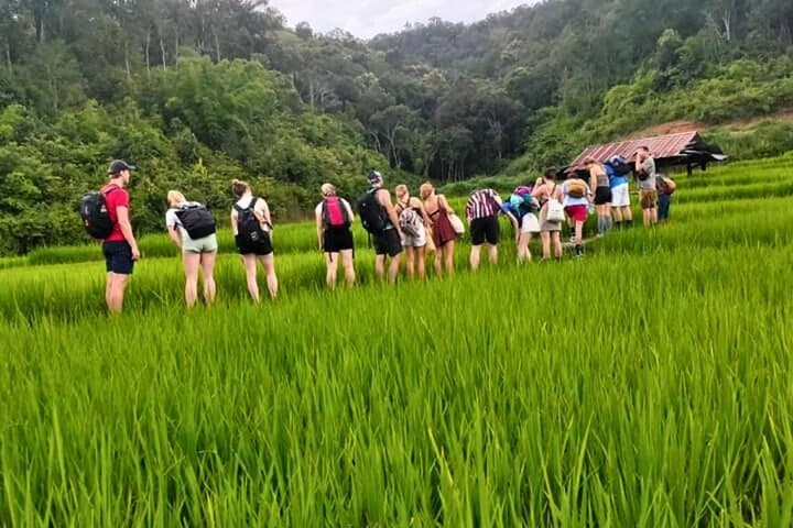 2-Day Chiang Mai Jungle Trek: Hill Tribes & Bamboo Rafting photo 2