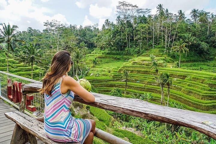 Hidden Ubud: Waterfalls, Sacred Temples & Rice Terraces — Private Full-Day Tour photo 2