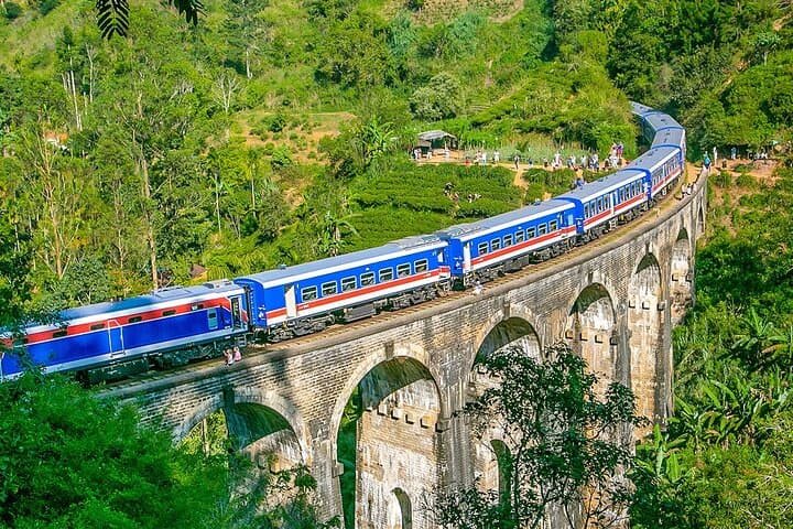 Two-Week Sri Lanka Itinerary: Ancient Cities, Tea Country & Coastal Wildlife photo 5