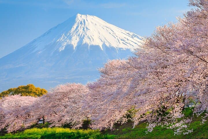 Mount Fuji & Hakone One-Day Private Van Tour: Lake Kawaguchi, Owakudani & Hakone Ropeway