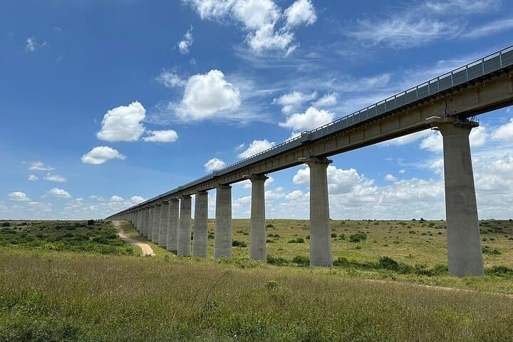 Nairobi National Park Safari: Wildlife Adventure Just Outside the City photo 4