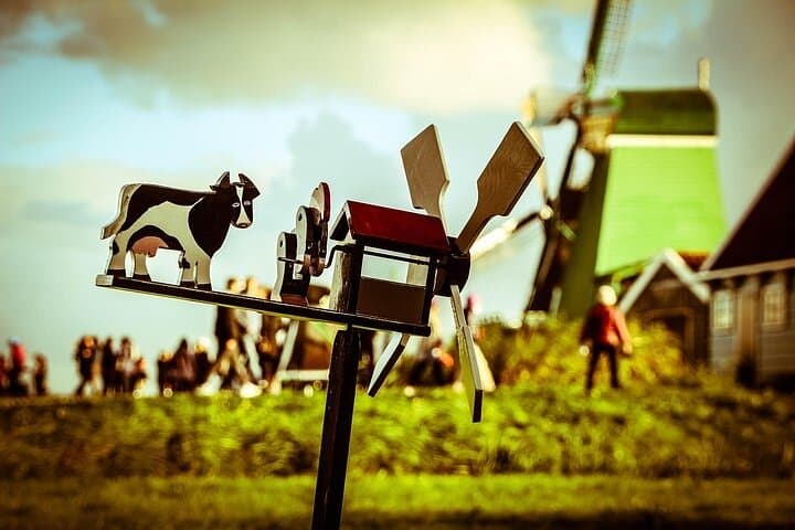 Dutch Countryside Full-Day Tour from Amsterdam: Zaanse Schans, Volendam & Marken photo 4