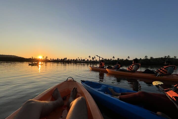Sunset Kayaking to a Private Island on Chapora River, North Goa photo 5
