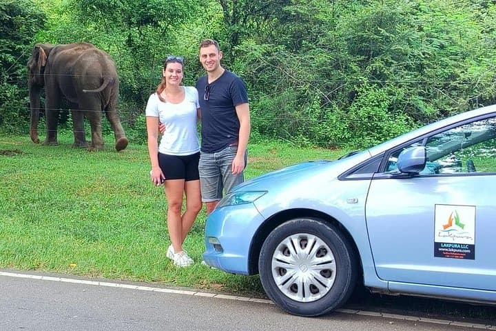 Ella-to-Weligama Private Transfer with Udawalawe Safari: Elephant Encounters & Coastal Surf photo 2