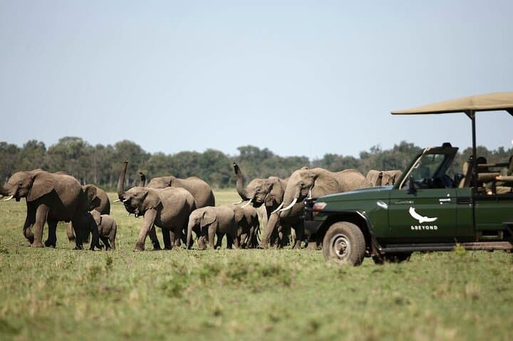 4-Day Luxury Safari: Masai Mara & Lake Nakuru by 4x4 Jeep photo 3