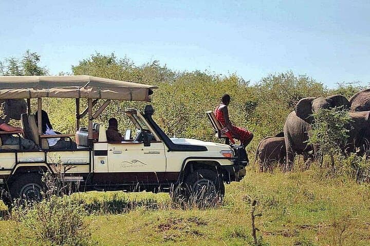 4-Day Luxury Safari at andBeyond Kichwa Tembo — Masai Mara Game Drives & Tented Camp photo 2