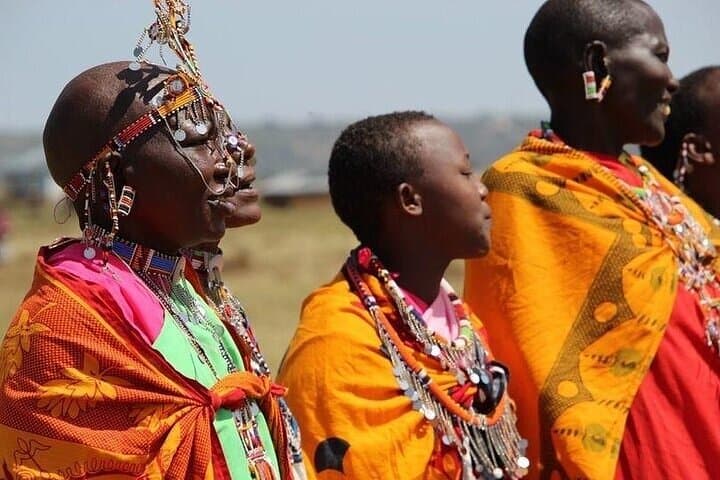 Day Safari at Ol Pejeta Conservancy: Rhinos, Chimpanzees & Equator Stop photo 2