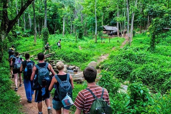 3-Day Chiang Mai Jungle Trek: Hilltribe Homestays & Bamboo Rafting photo 1