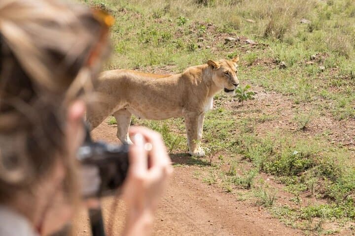 Day Safari at Ol Pejeta Conservancy: Rhinos, Chimpanzees & Equator Stop photo 5