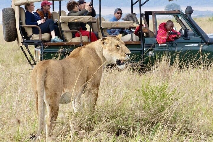 Amboseli Day Safari: Kilimanjaro Views, Elephant Herds & Savanna Game Drive photo 3