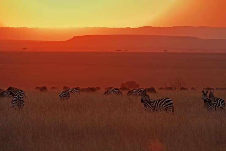 Day Trip to Lake Naivasha and Hell's Gate National Park — Crescent Island Boat & Biking Adventure photo 5