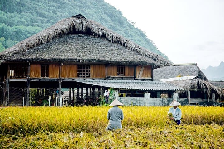 Half-Day Cát Cát Village & Tiên Sa Waterfall — H'mong Workshops and Valley Hike photo 2