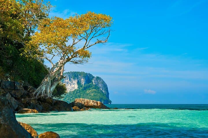Phi Phi Don Speedboat Tour: Maya Bay, Pileh Lagoon & Snorkeling Day Trip from Krabi photo 6