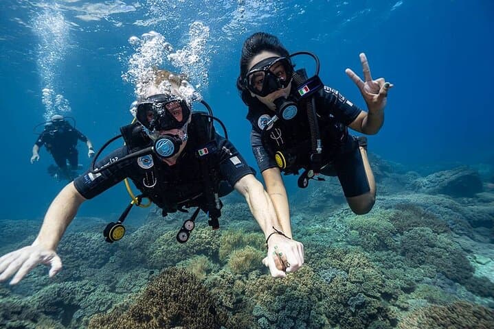 Nha Trang Scuba Diving: Explore Coral Reefs & Marine Life photo 2