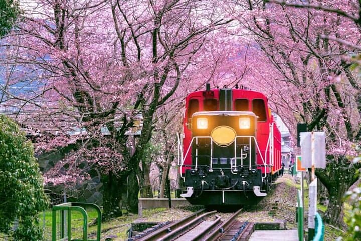 Sagano Romantic Train: 25-Minute Scenic Ride Through Kyoto’s Hozugawa Valley photo 2
