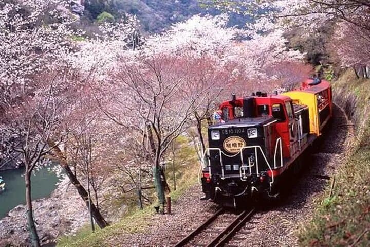 Sagano Romantic Train: 25-Minute Scenic Ride Through Kyoto’s Hozugawa Valley photo 3