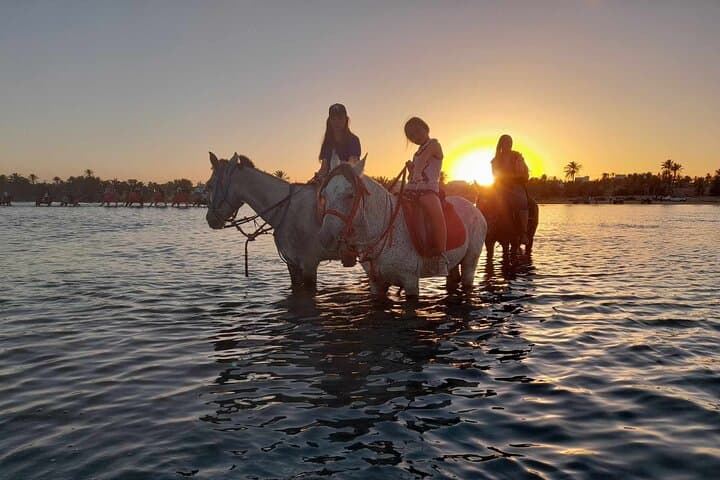 Sunset Horseback Ride Across the Djerba Lagoon — Horse Riding in Djerba, Tunisia photo 4