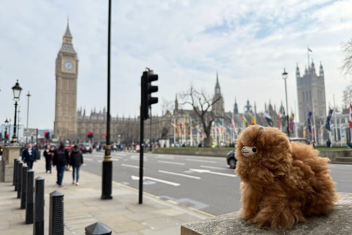 Royal London Westminster and Palaces: Private Guided Walking Tour