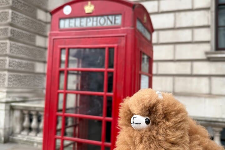 Royal London Westminster and Palaces: Private Guided Walking Tour photo 4
