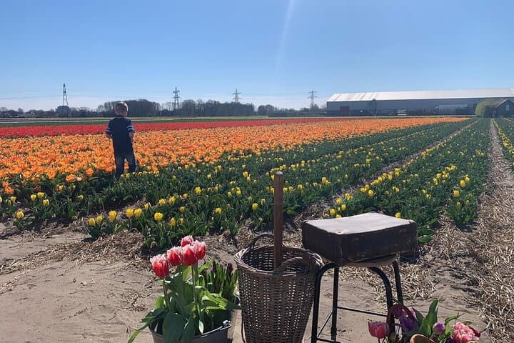 Keukenhof & Dutch Flower Fields Day Tour from Amsterdam photo 6