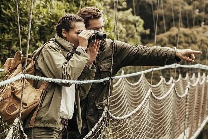 2-Day Nyungwe Chimpanzee Trek & Canopy Walkway with King’s Palace and Gisakura Tea Tour photo 3
