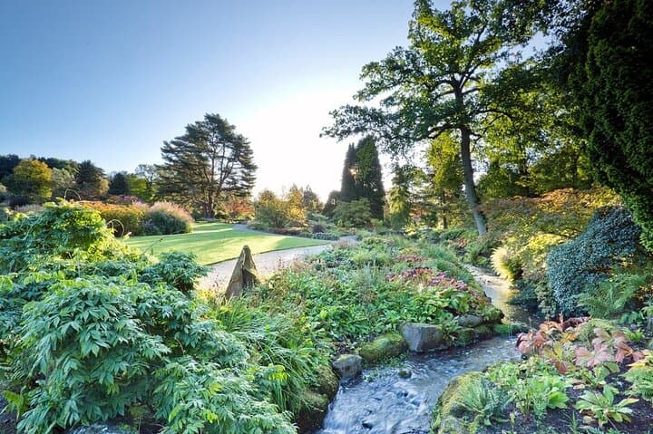 Explore RHS Garden Harlow Carr: Practical Guide to Harrogate's 58-Acre Garden