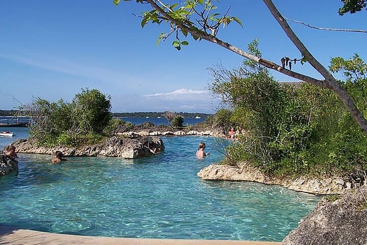 Wasini Dolphin Day Tour from Diani Beach — Kisite Marine Park Snorkel & Shimoni Caves photo 4