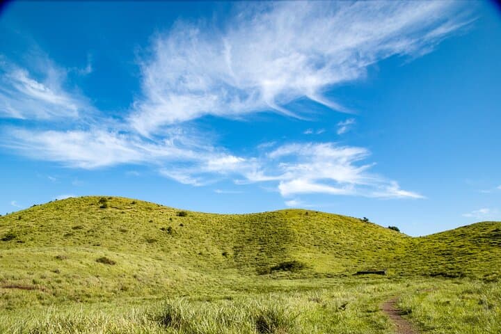 Jeju West Coast Essentials: Hyeopjae Beach, Hallim Park & Tea Fields Private Day Tour photo 6