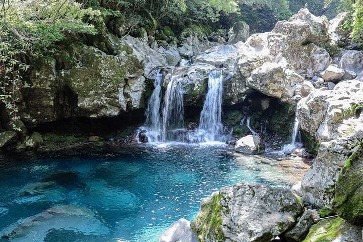 Jeju West Coast Essentials: Hyeopjae Beach, Hallim Park & Tea Fields Private Day Tour photo 4