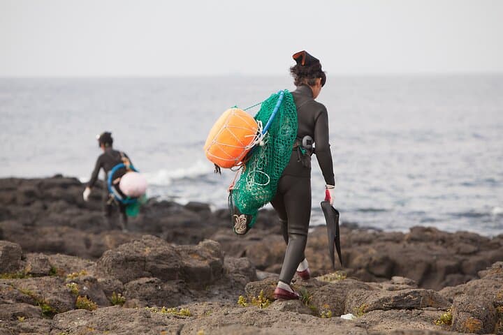 Jeju West Coast Essentials: Hyeopjae Beach, Hallim Park & Tea Fields Private Day Tour photo 5