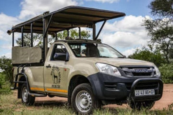 Full-Day Kruger Safari from Hoedspruit — Big Five Game Drive & Wildlife Views photo 3