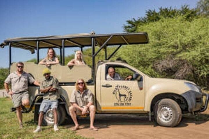 Full-Day Kruger Safari from Hoedspruit — Big Five Game Drive & Wildlife Views photo 5