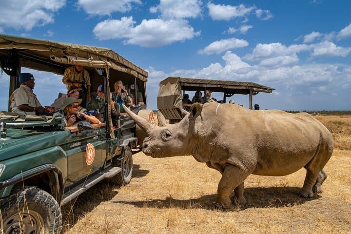 Ol Pejeta Conservancy Day Tour from Nairobi — Rhinos, Chimp Sanctuary & Game Drives photo 2