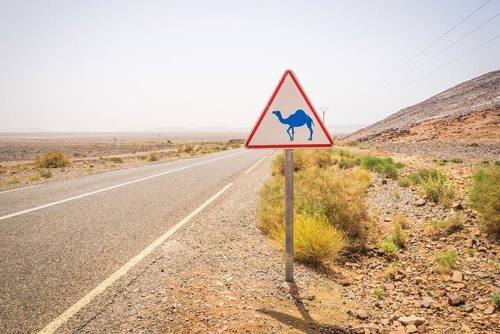 3-Day Merzouga Desert Tour from Marrakech: Camel Trek, Dunes & Kasbahs photo 3