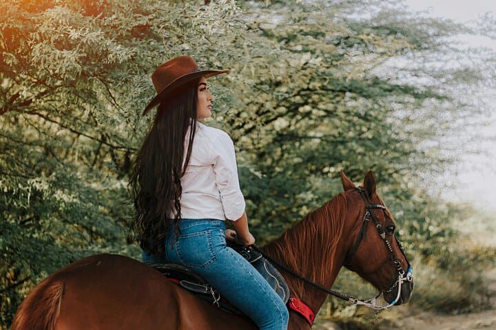 Guided Horse Ride with Mountain Views near Izmir — Forest Trail Equestrian Experience photo 5