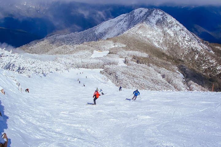Melbourne to Mt Buller: 6-Hour Snow Day Trip and Alpine Play photo 3