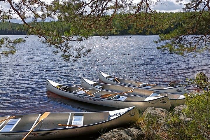 Paddle Lake Venjanssjön: Guided Canoe Tour to Islands, Lilies & Sandy Shelters