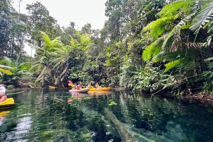 Kayaking Klong Root: Crystal Lake Paddle Tour from Ao Nang photo 2