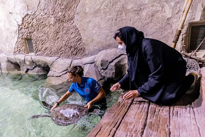 Inside The National Aquarium Abu Dhabi: A Three-Hour Dive into Arabian Seas photo 2