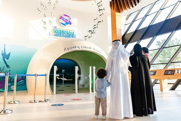 Inside The National Aquarium Abu Dhabi: A Three-Hour Dive into Arabian Seas
