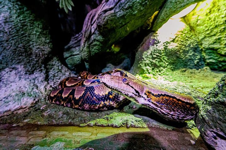 Inside The National Aquarium Abu Dhabi: A Three-Hour Dive into Arabian Seas photo 3