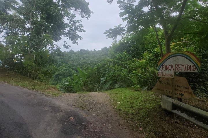 Mountain Massage Retreat at Finca Remedio — River Dip & Superadobe Dome in Utuado photo 3