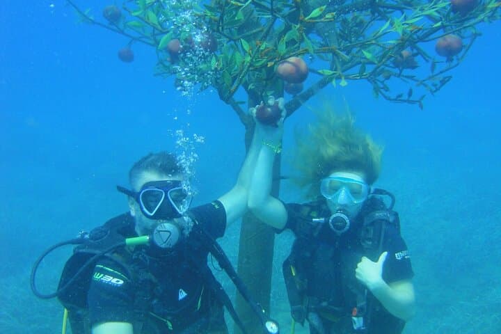 Side Scuba Diving & Underwater Museum Boat Trip with Lunch photo 6