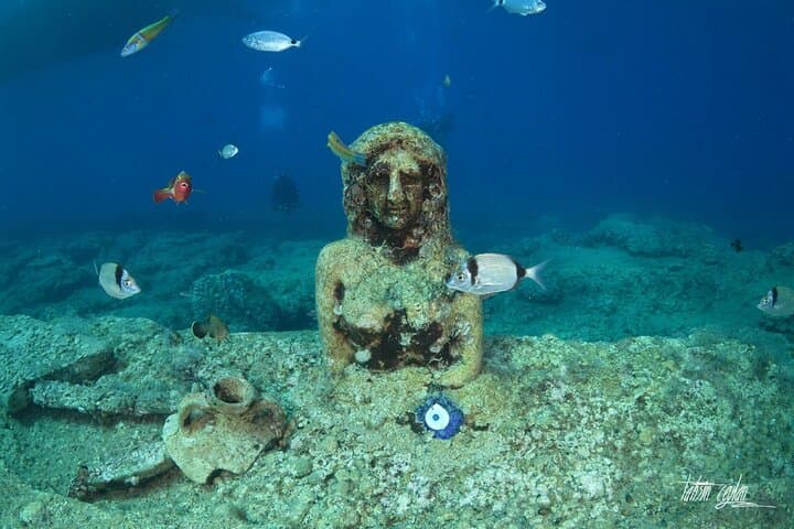 Side Scuba Diving & Underwater Museum Boat Trip with Lunch photo 3