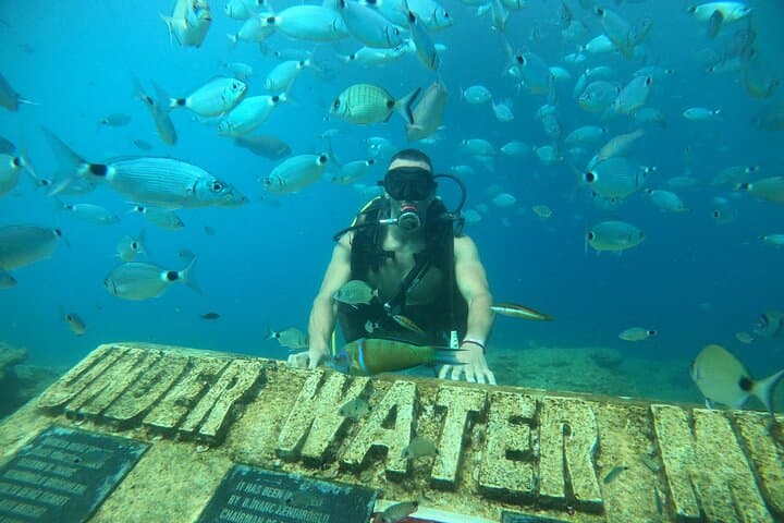 Side Scuba Diving & Underwater Museum Boat Trip with Lunch