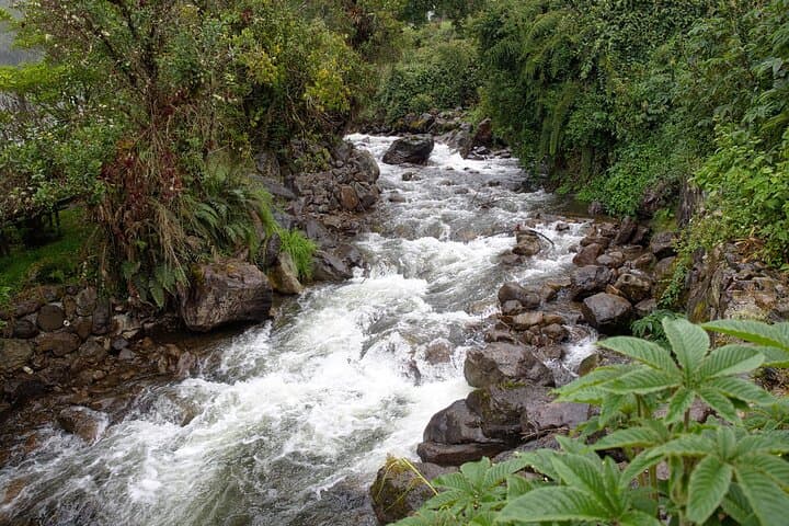 Relax at Papallacta Hot Springs: Private Thermal Tour from Quito photo 6