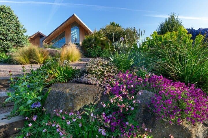 Explore RHS Garden Hyde Hall: Hilltop Gardens & Mediterranean Dry Borders