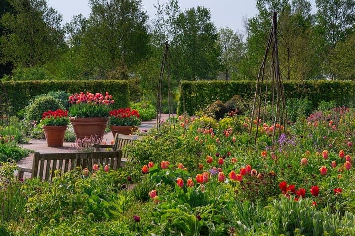 Explore RHS Garden Hyde Hall: Hilltop Gardens & Mediterranean Dry Borders photo 3