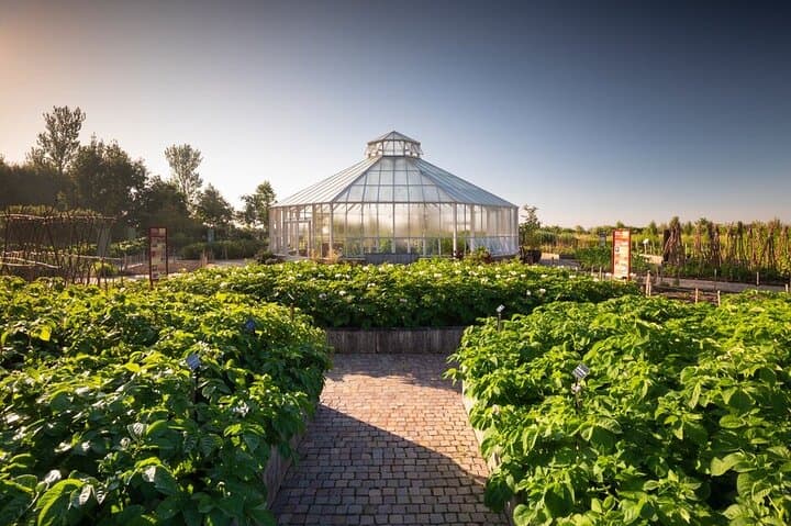 Explore RHS Garden Hyde Hall: Hilltop Gardens & Mediterranean Dry Borders photo 4