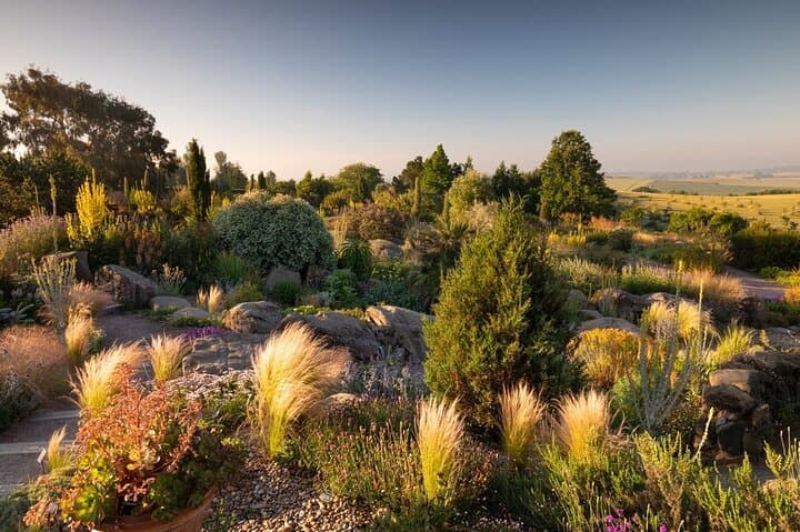 Explore RHS Garden Hyde Hall: Hilltop Gardens & Mediterranean Dry Borders photo 5